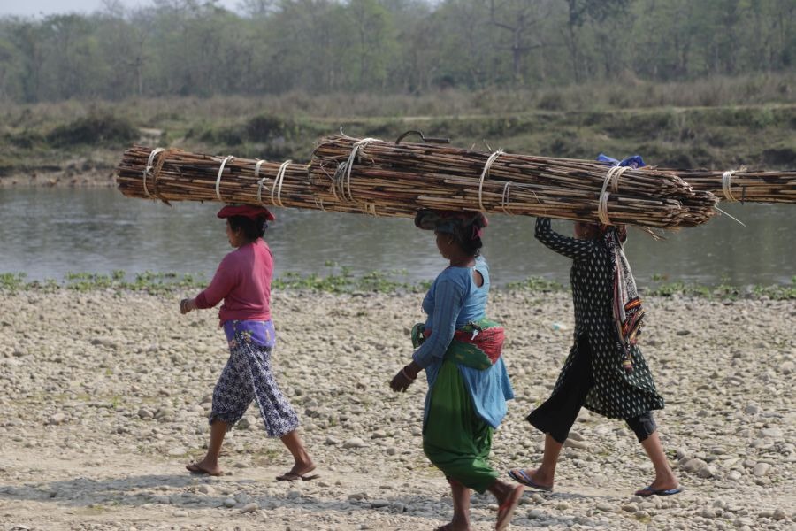 Tharu-Frauen beim Abtransportieren von Holz
