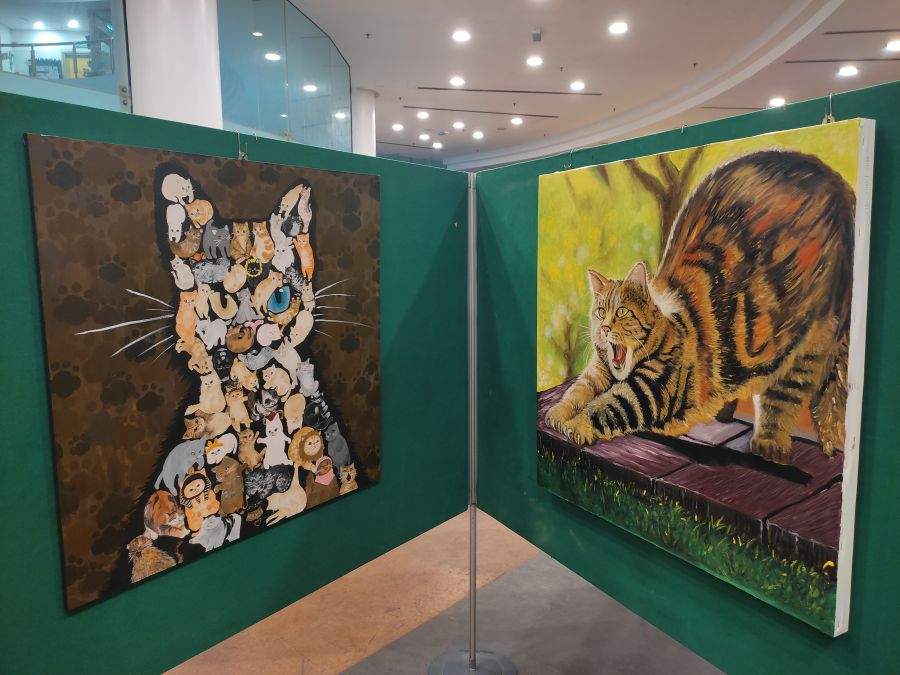 Bilder im Katzenmuseum Kuching