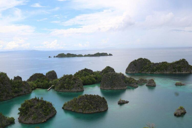 Blick auf die Inseln in Raja Ampat