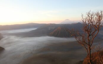 Blick auf den Mt. Bromo