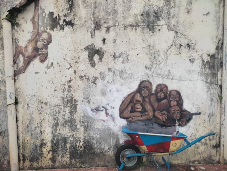 Graffiti of Orang Utans