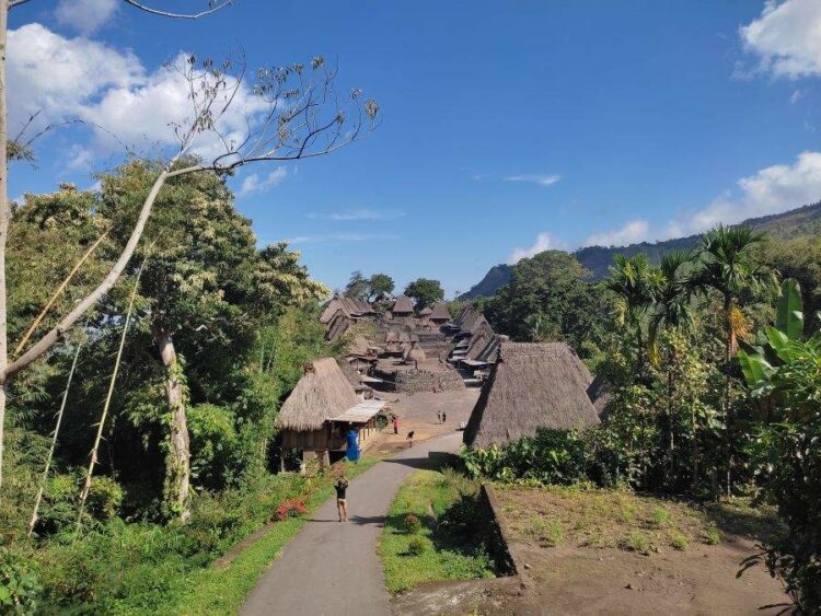 Traditionelles Dorf in Bajawa