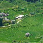 Saftig grüne Reisterrassen des Ha-Giang-Loops