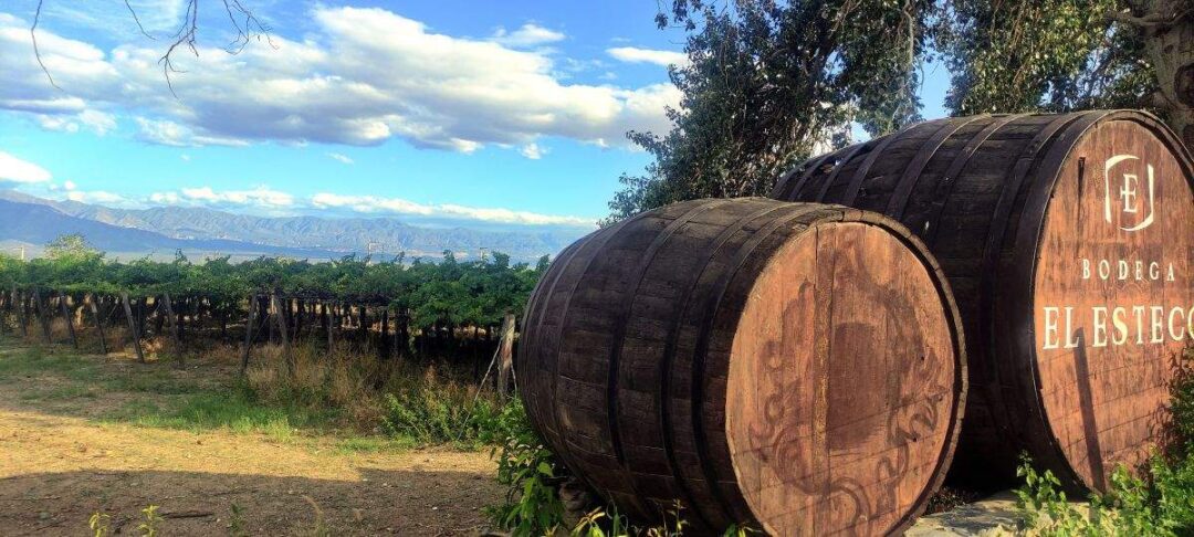 Finca El Esteco