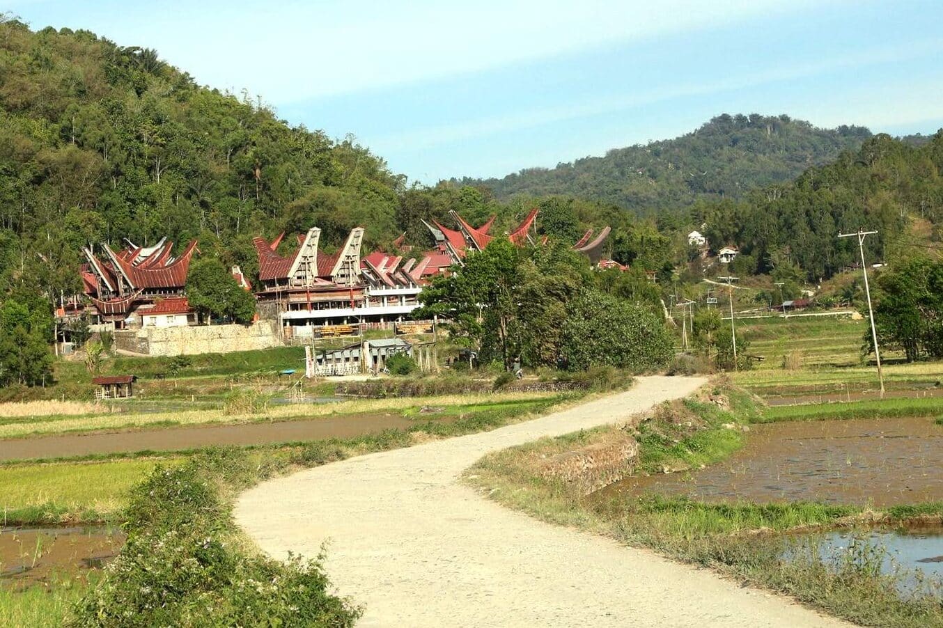 Reisfelder und Weg zu Tongkonan bei Rantepao, Tana Toraja